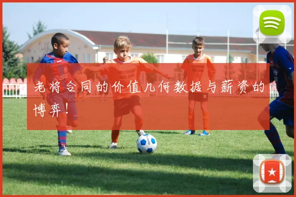 老将合同的价值几何数据与薪资的博弈！