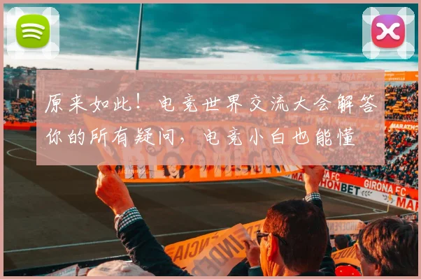 原来如此！电竞世界交流大会解答你的所有疑问，电竞小白也能懂